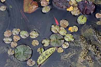 《潜行者2》会跳票到明年？开发商代表出面否认